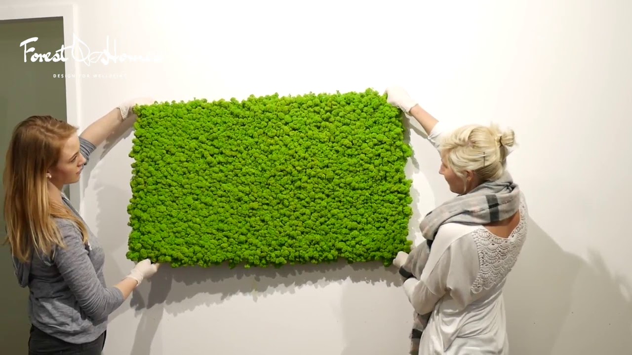 How to Install Your Moss Panels (with velcro)  | Forest Homes