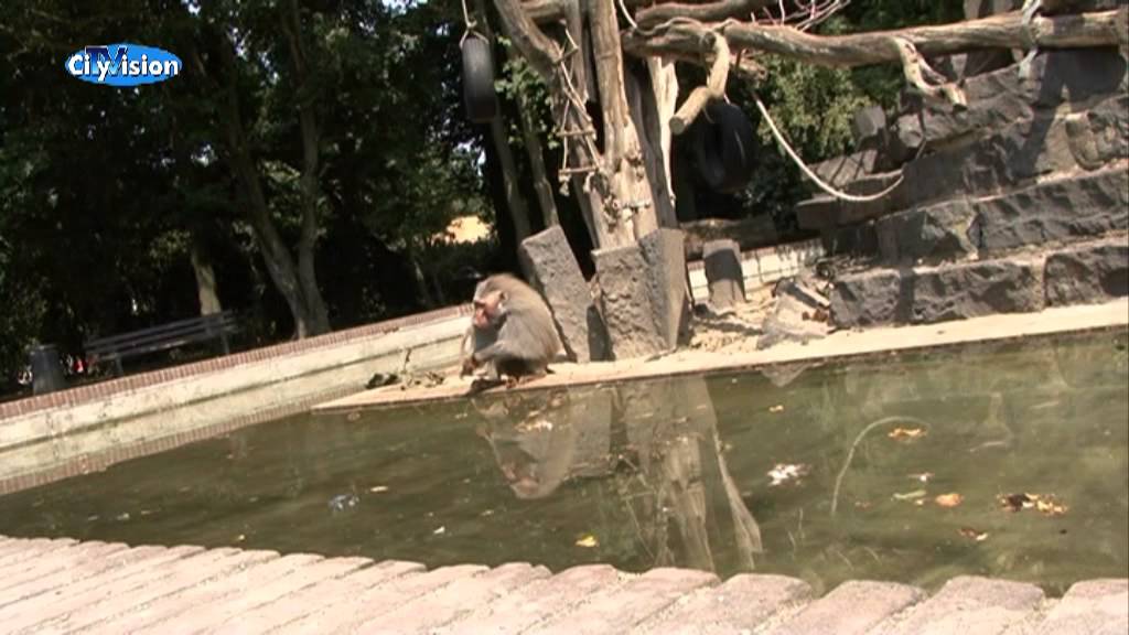 75 Jahre Krefelder Zoo