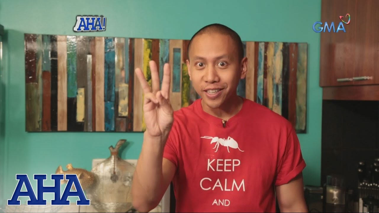 AHA!: Learn more about ants with Mikey Bustos