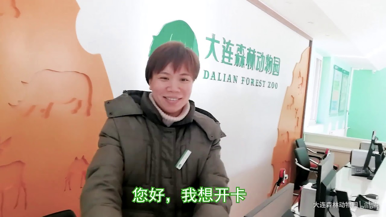 Panda Jin Hu-Dalian forest Zoo yearly card