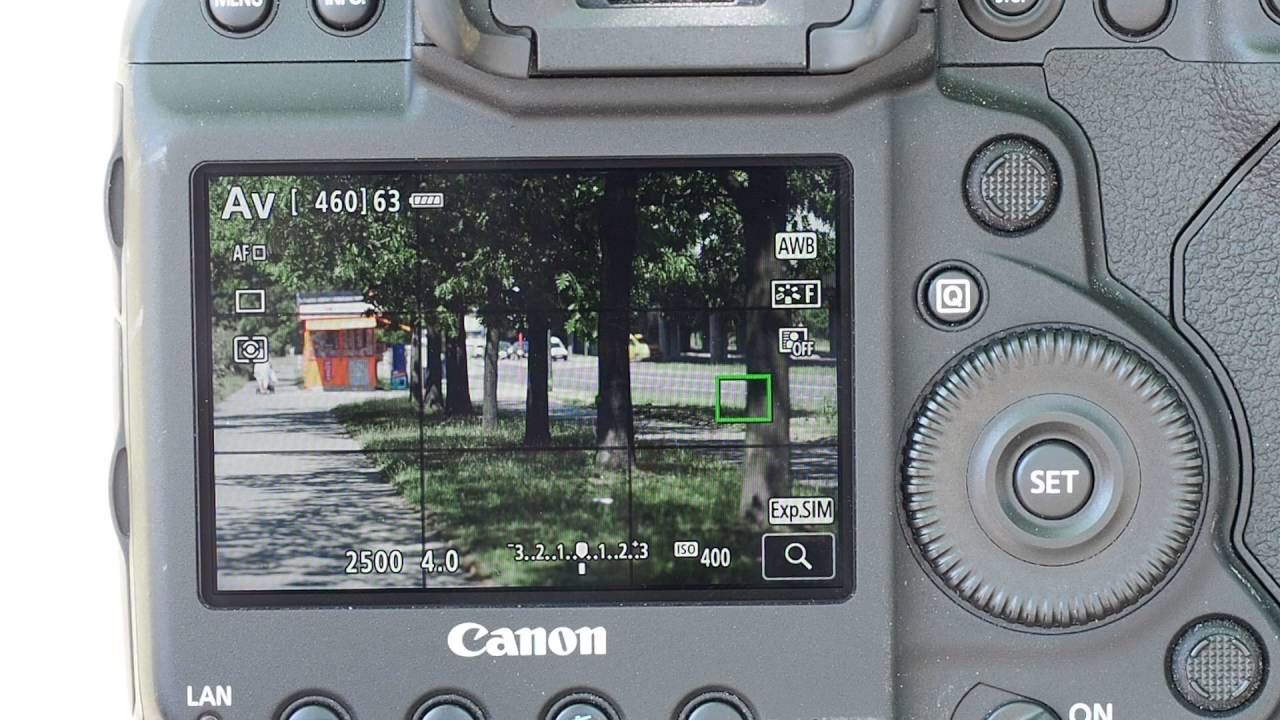 Canon EOS-1D X Mark II LiveView AF Speed Test (Dual Pixel CMOS AF)