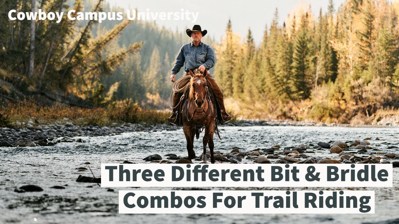 Three Different Bit & Bridle Combos For Trail Riding