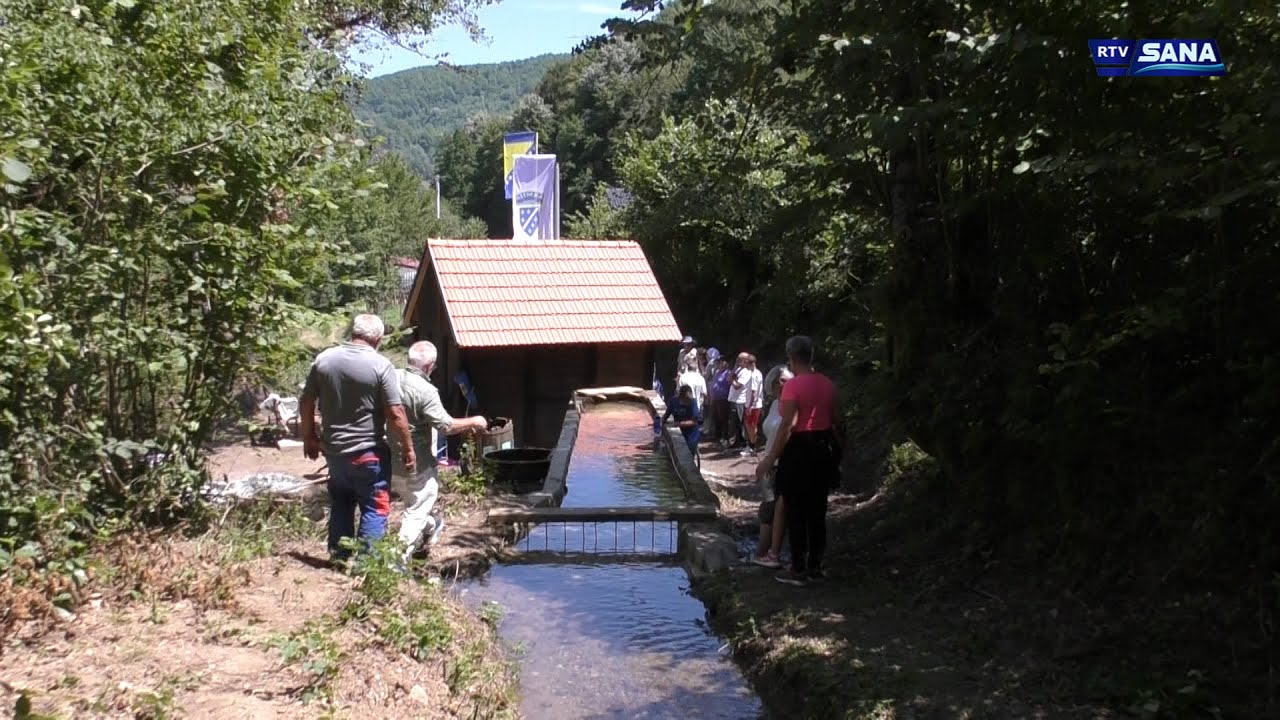 Hronika Sana 14.7.2025.