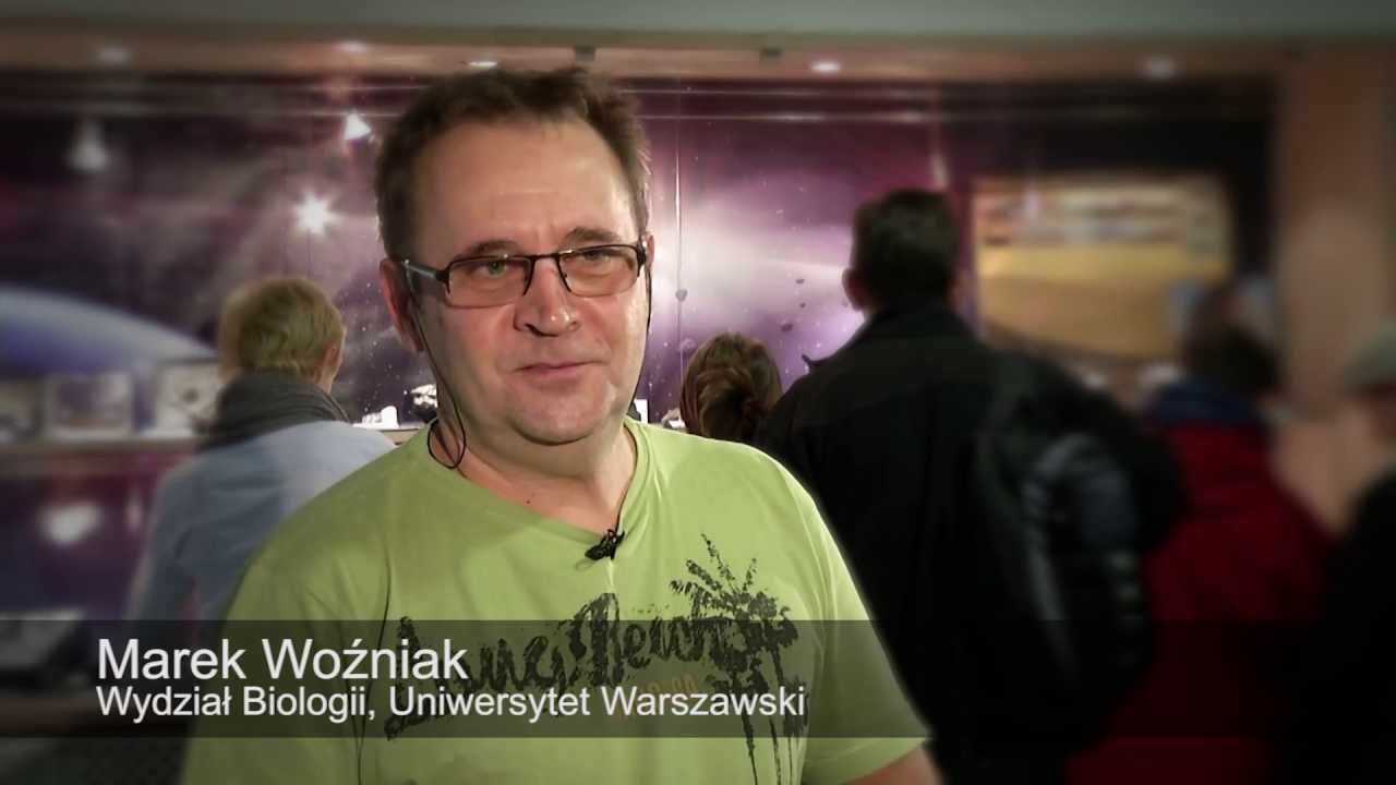 Wystawa meteoryt&oacute;w na Wydziale Biologii UW
