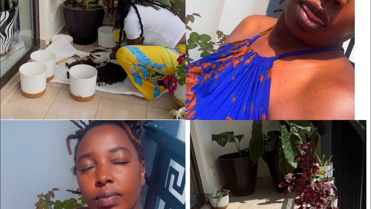 BALCONY REVAMP PLANTING AND PROPAGATING NEW PLANTS