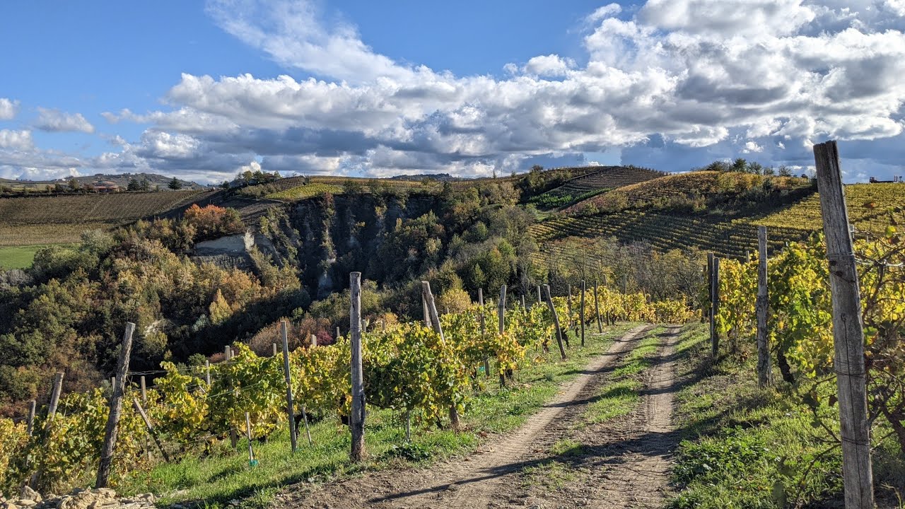 Langhe #Barbaresco #Treiso
