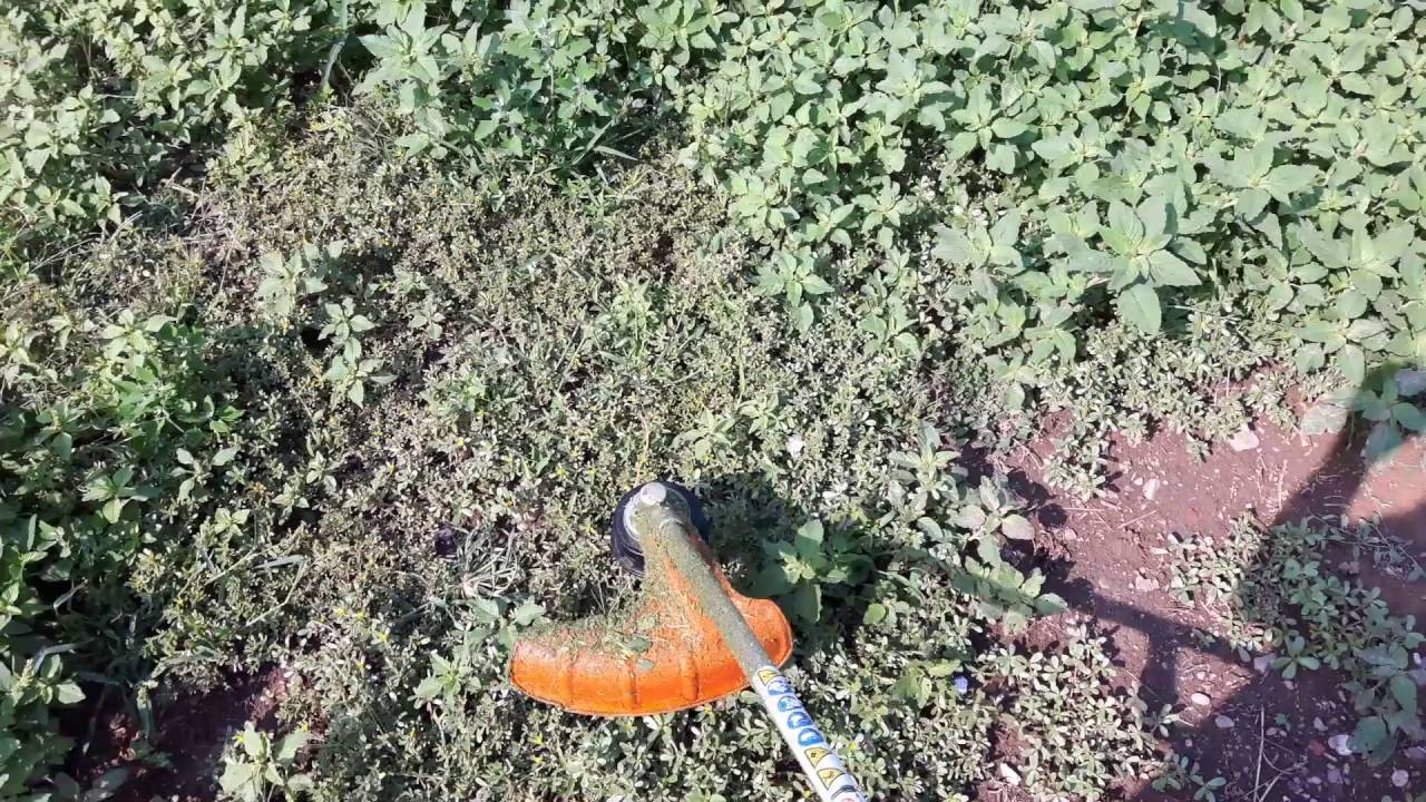Stihl FS55 cold start  krovinorez