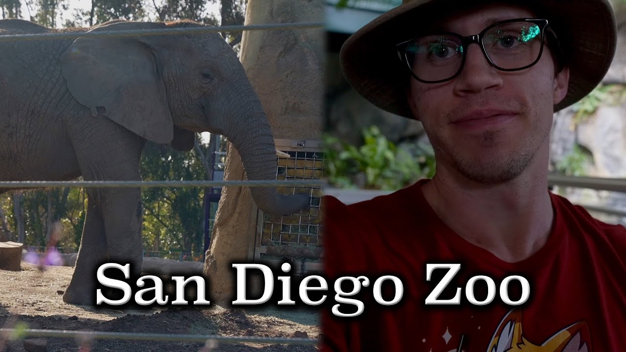 San Diego Vlog #2 - San Diego Zoo