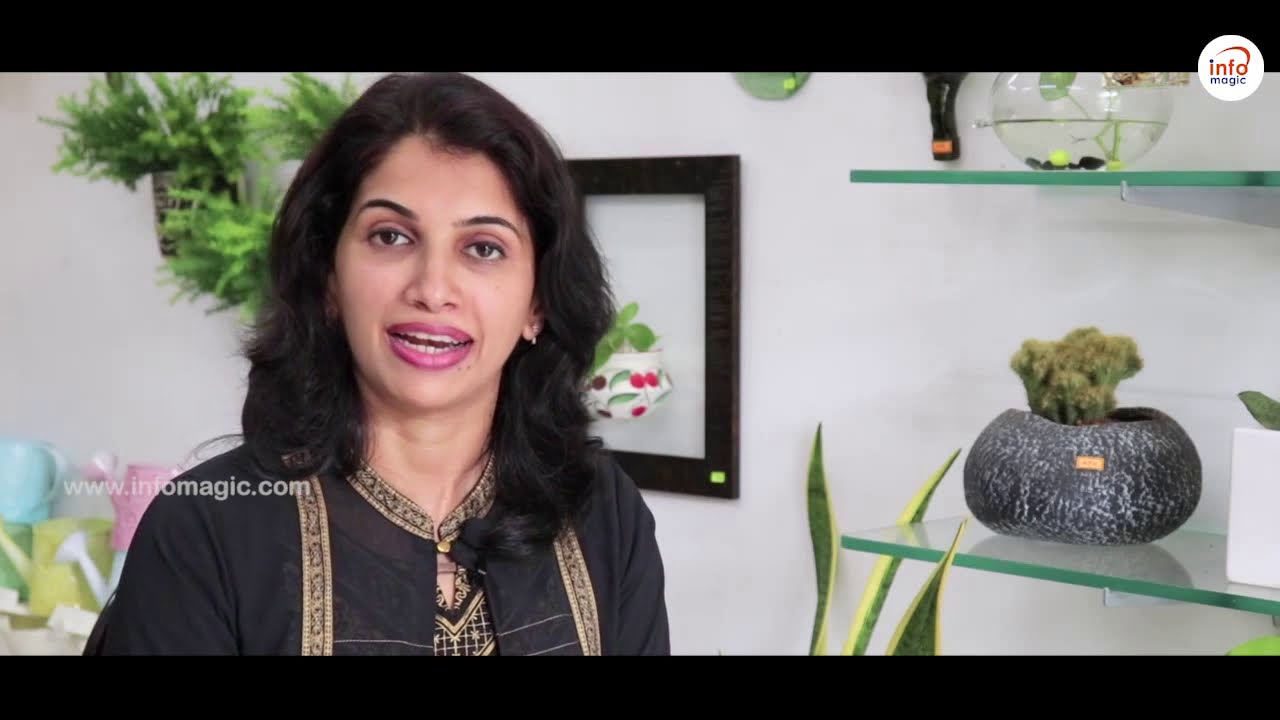 ഇന്‍ഡോര്‍ പ്ലാന്‍റുകള്‍ കൊണ്ട് നല്‍കാം ഇന്റീരിയറിന് പച്ചപ്പ് | Home and Farms |         Kottayam