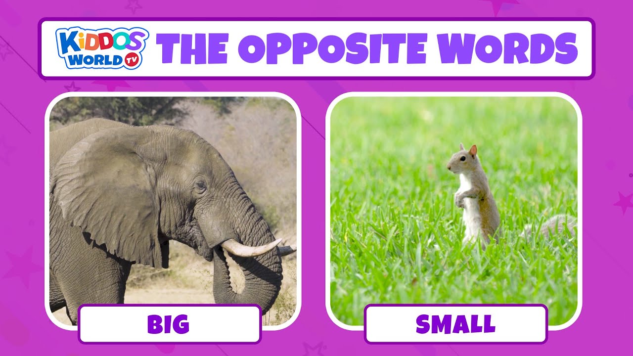 Learn The Opposites Words in English using Video Comparisons
