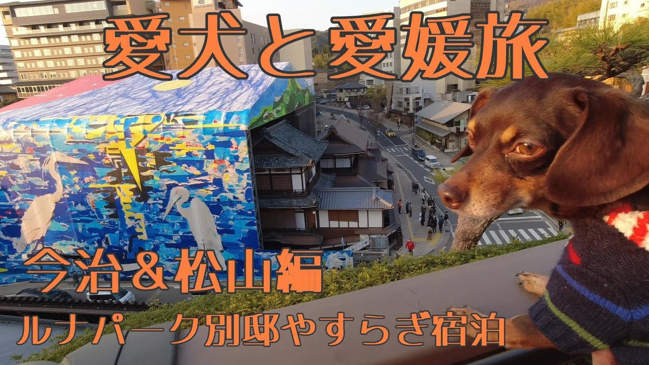 愛犬と愛媛旅～今治＆松山編～ルナパーク別邸やすらぎに宿泊