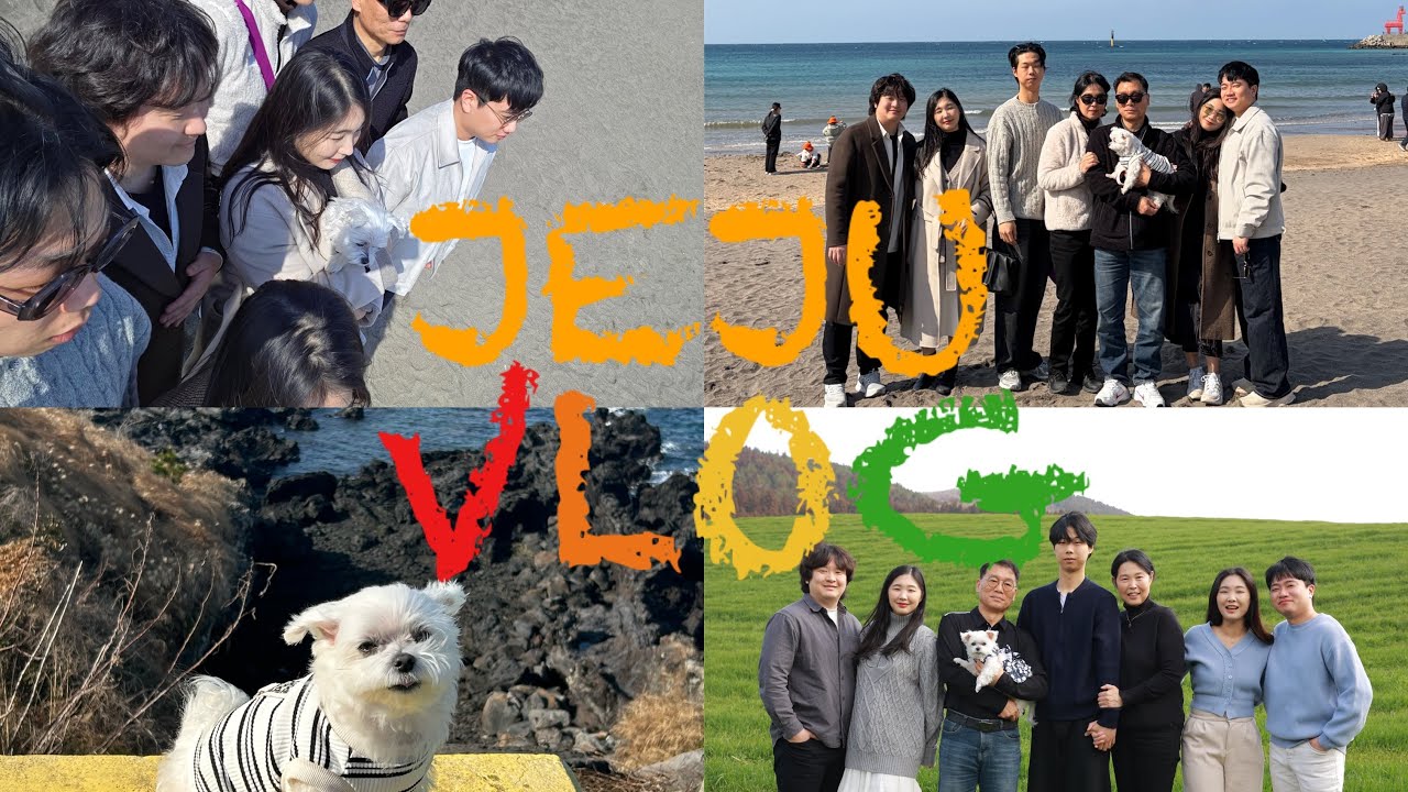 강아지와 함께 다녀온 대가족 제주 여행|애견동반 숙소, 애견동반 식당