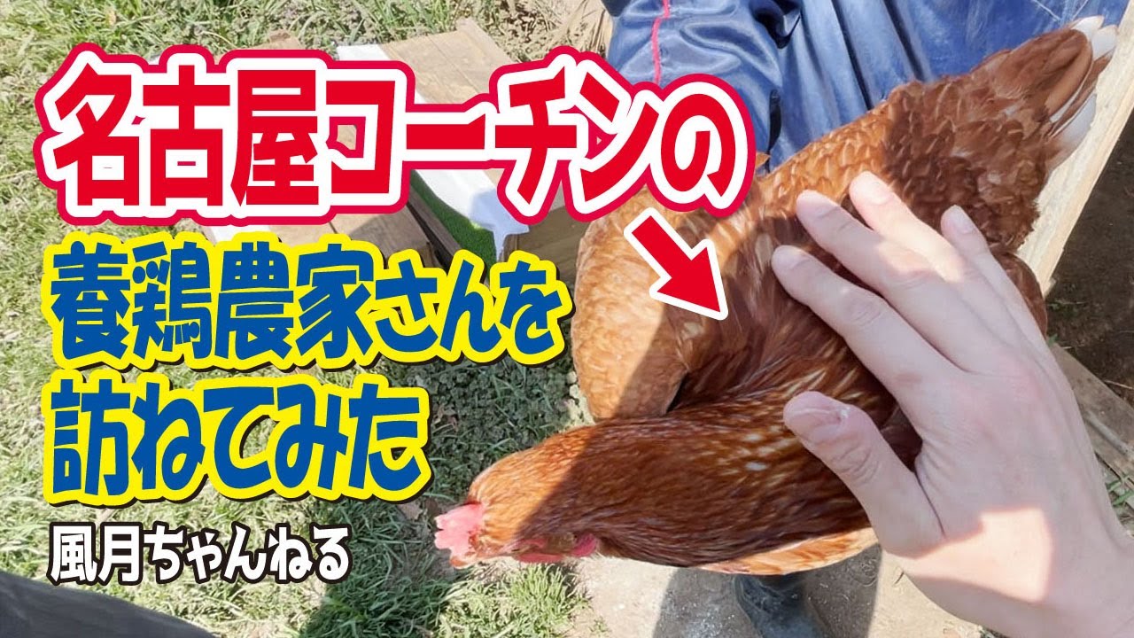 【名古屋コーチン】養鶏場を訪ねてみた【愛知県東浦】