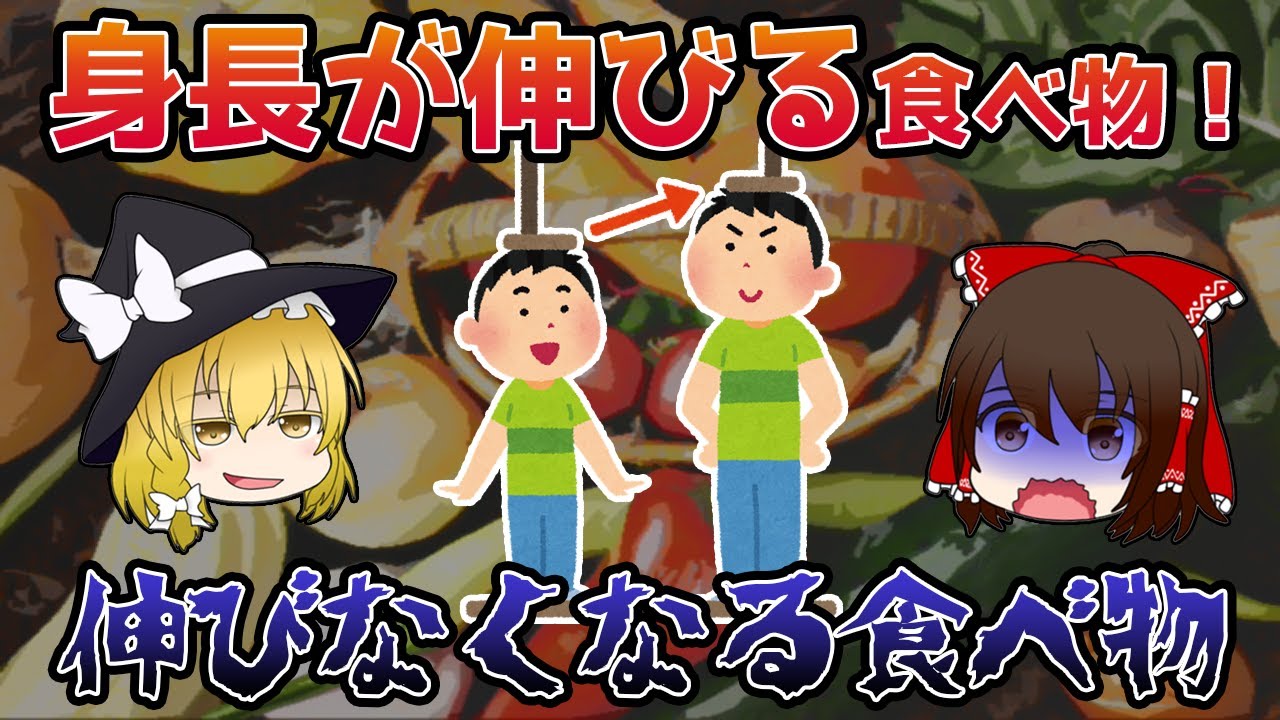 【ゆっくり解説】身長が「伸びる食べ物・伸びない食べ物」とは！？
