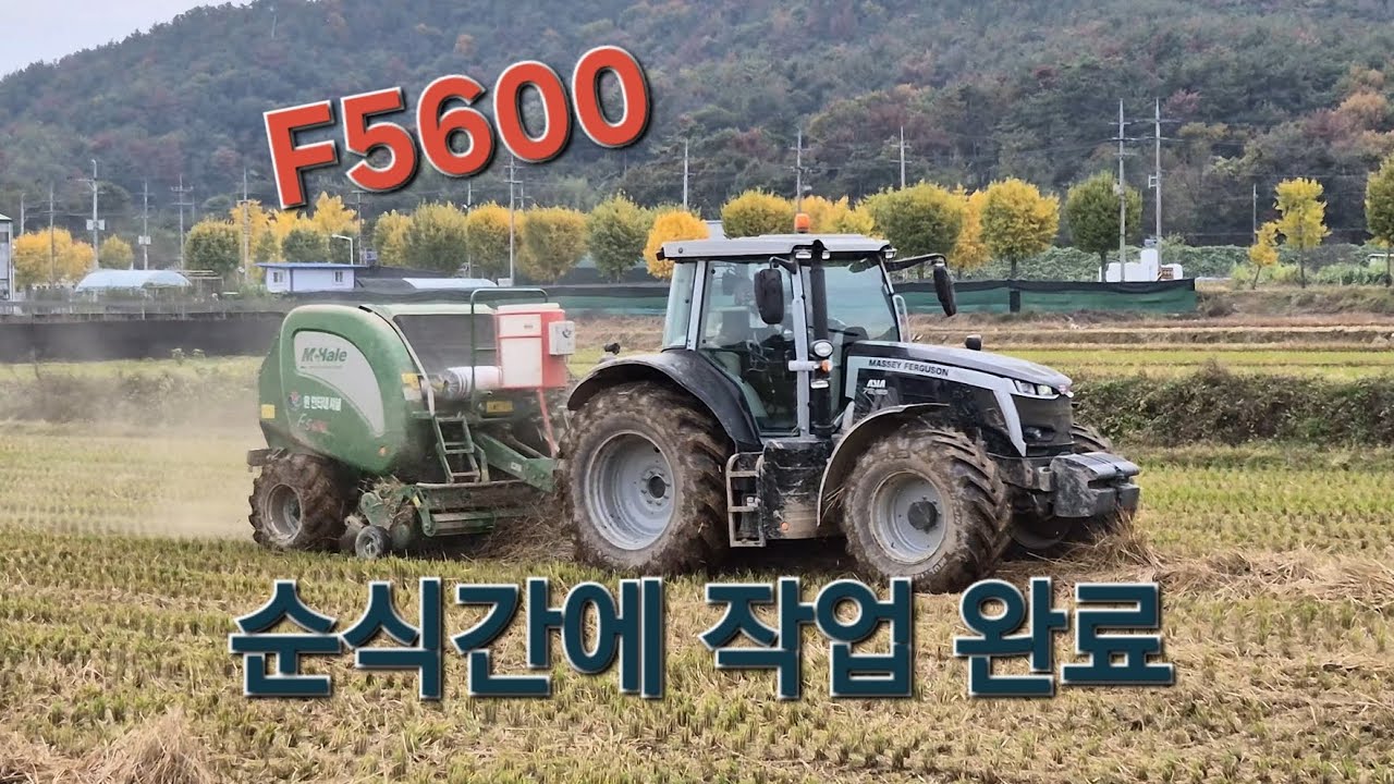 이거만한 베일러 없다