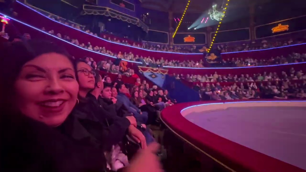 Highlights of Cirque D Hiver 2024