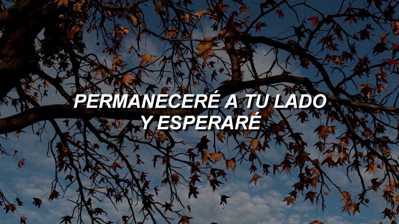 ➳♡ ❝With You❞ Yang Da Il (Sub. Español)