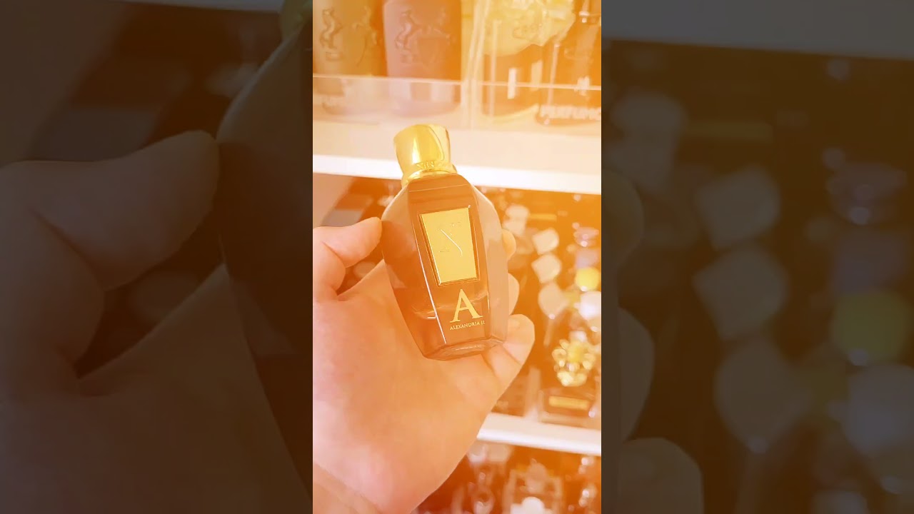 PERFUMES DE NICHO 10/10 #perfumes  #perfumol&acirc;ndia