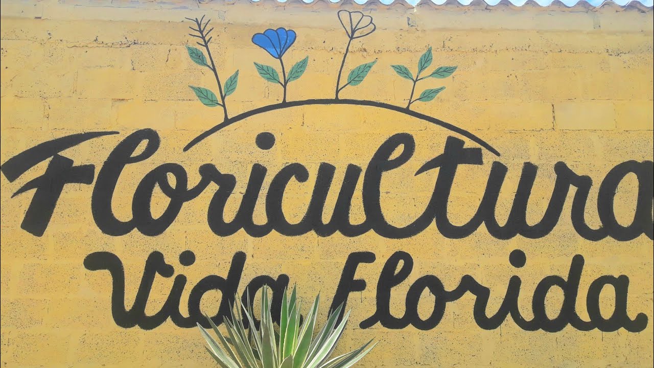 ABRI  FLORICULTURA NA MINHA CASA SEM GASTAR QUASE NADA!!