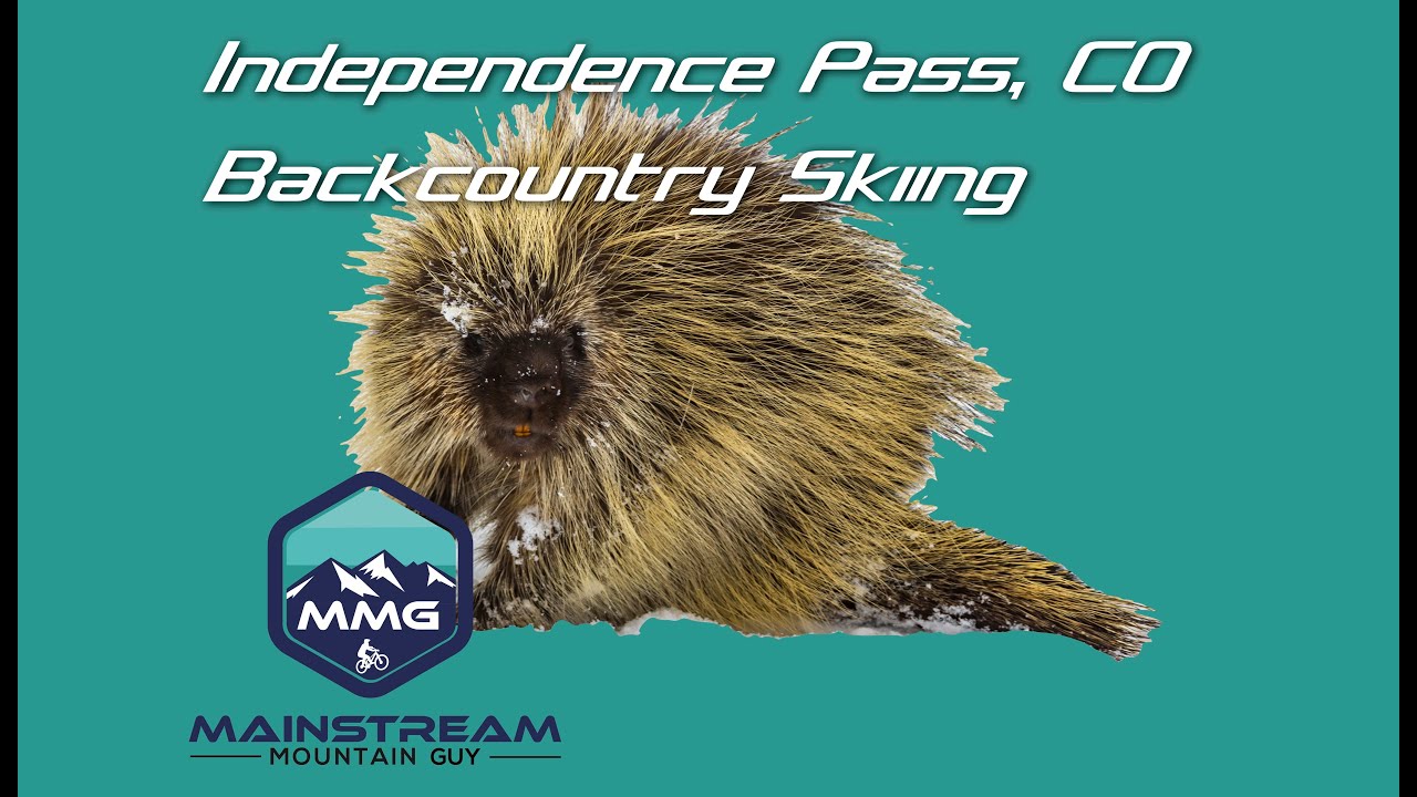 Fun Backcountry Ski Day Near Independence Pass. Watch Out for PORCUPINE!