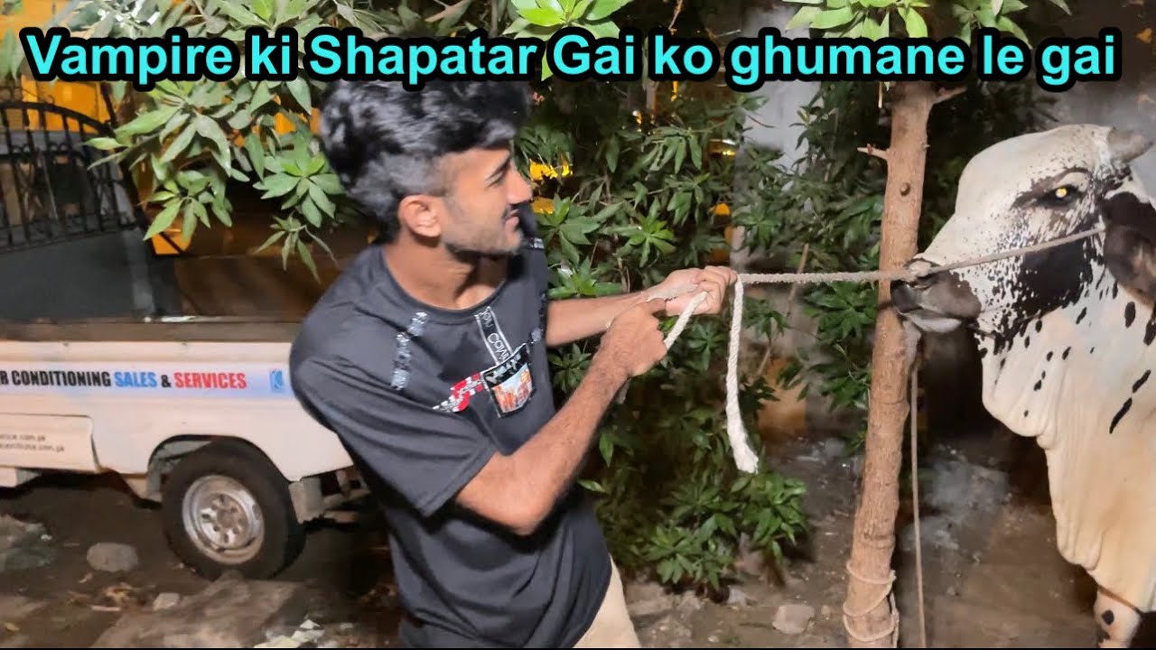 Vampire ki Gai ko Ghumane le gai Hum😱! | 1 Million subscribers ho Gai 🫡