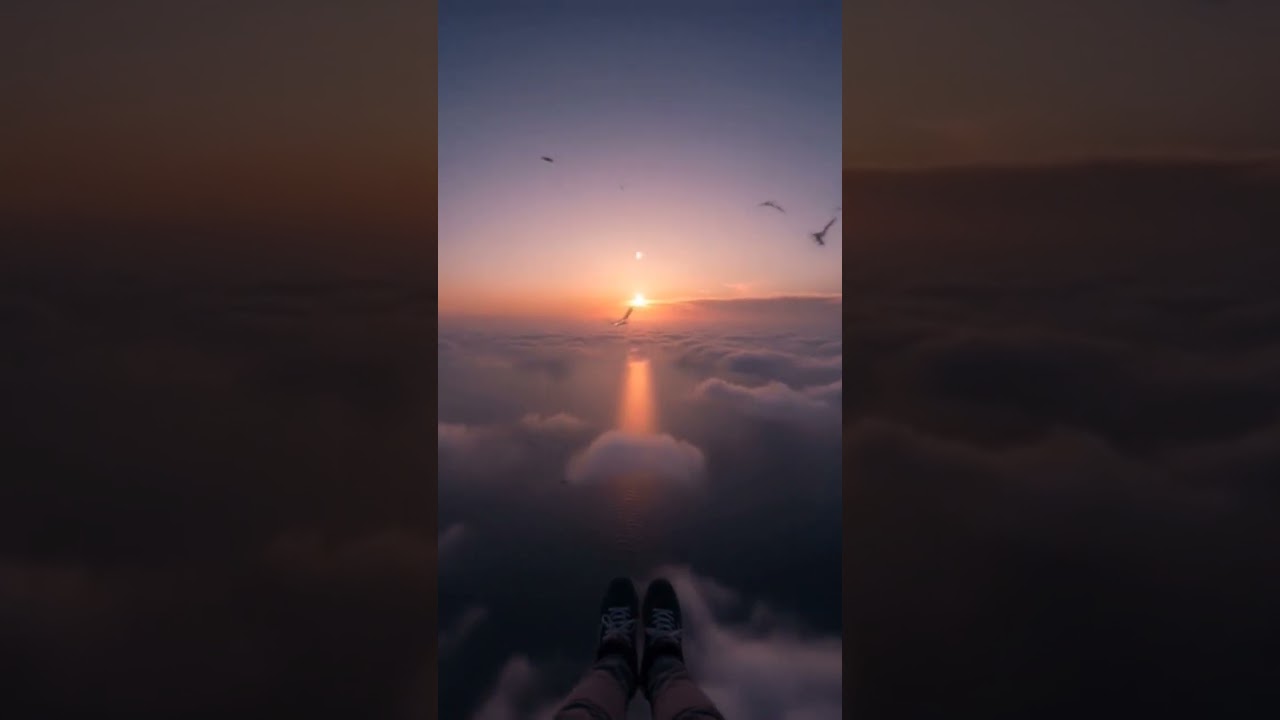Dream Scape. 