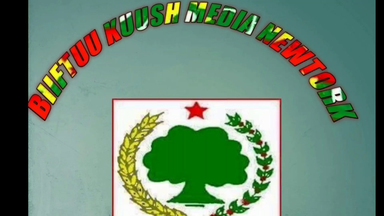 Biftuu Kuush News Media Network