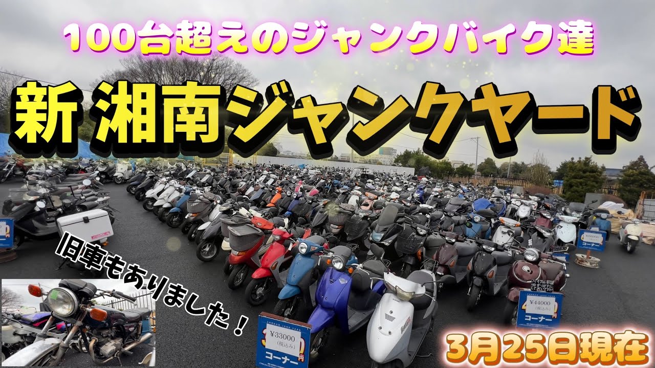 【湘南ジャンクヤード】知る人ぞ知る移転したての湘南ジャンクヤードに行ってみた！なんと旧車もありました！