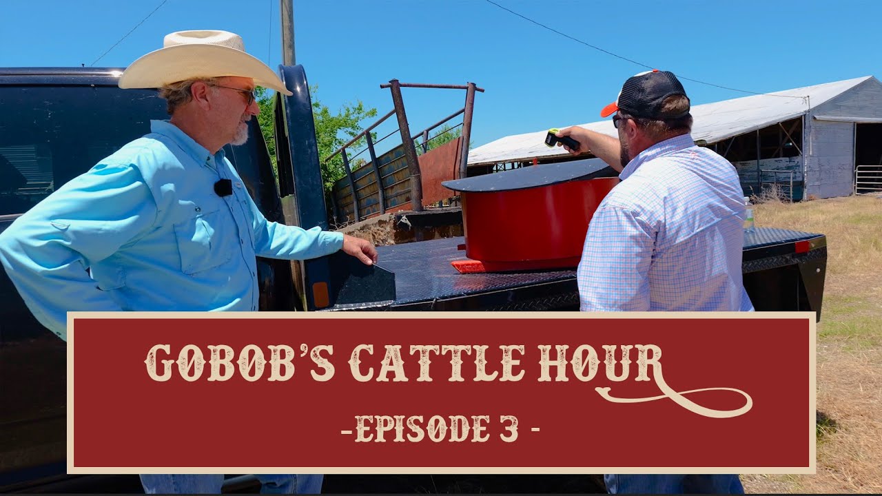 GoBob's Cattle Hour - Episode 3: Mineral Feeders