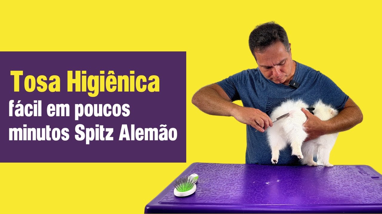 Tosa Higiênica Spitz Alemão