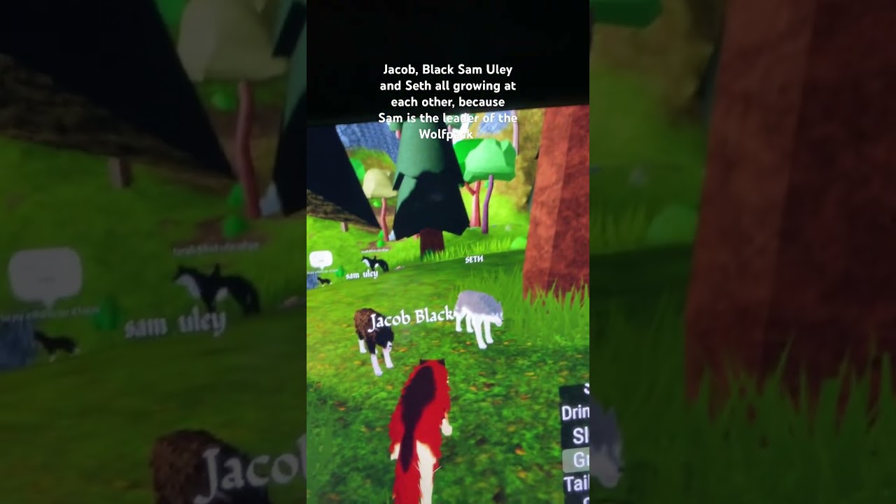 The leader of the Wolfpack is Sam uley￼ and Jake up helps Bella protect herself from a wolf