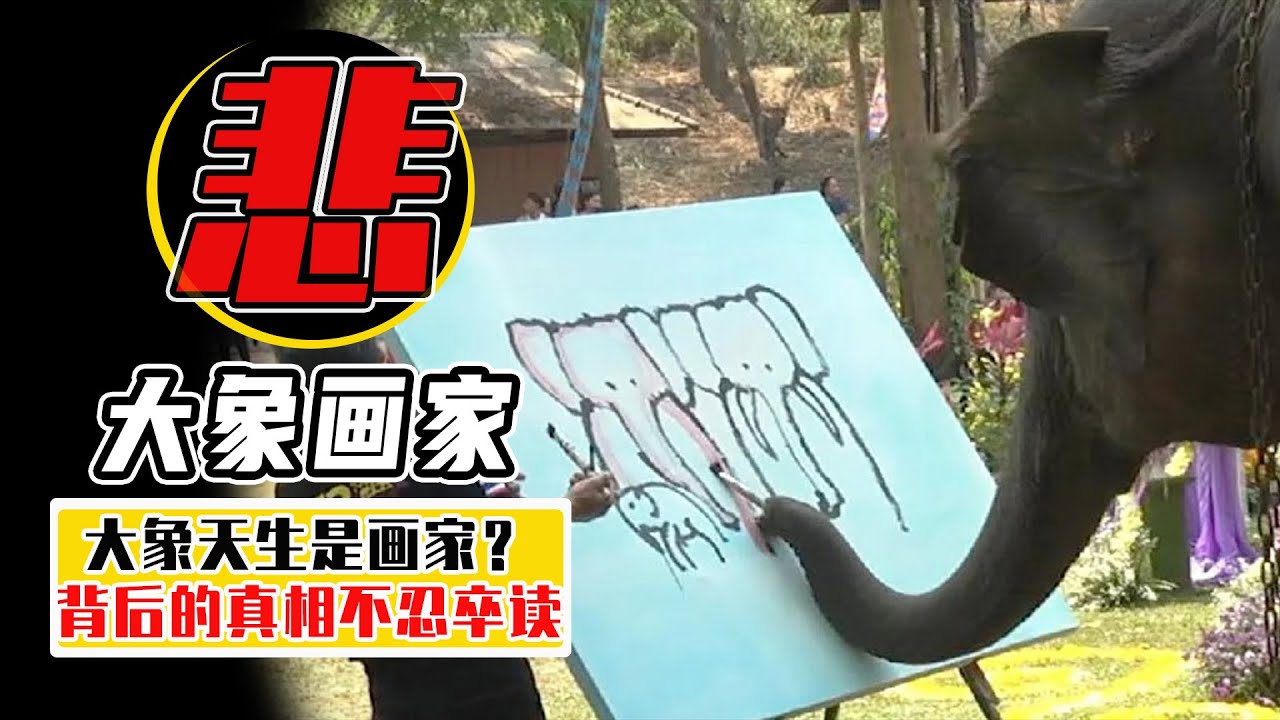 為了逼大象畫畫，竟然用鉤子紮它？ 大象表演的真相不忍卒讀！【小馬哥知識局】