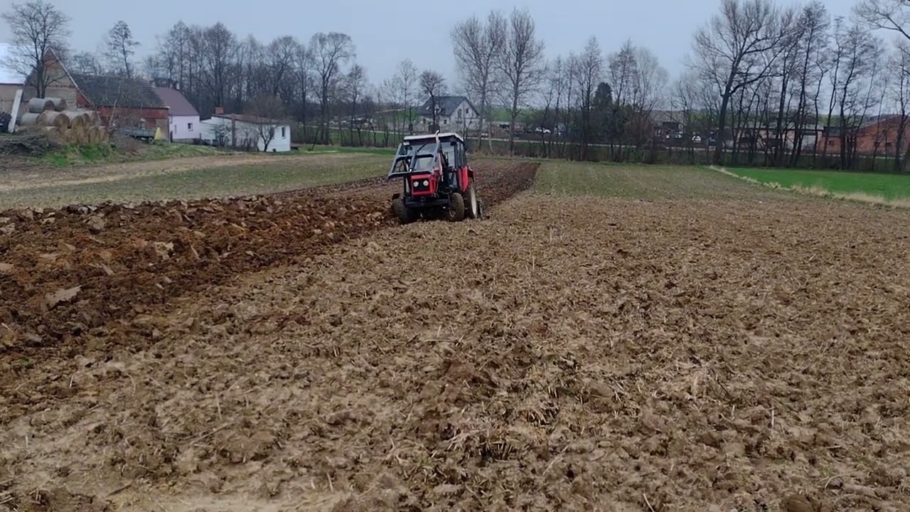 🔥Orka 2024 Zetor 5011 na kwasuwie ★ DŹWIĘK SILNIKA ★ ★ JEST MOC ★ 🔥