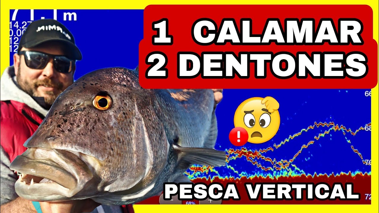 PESCA VERTICAL: 1 CALAMAR = 2 DENTONES