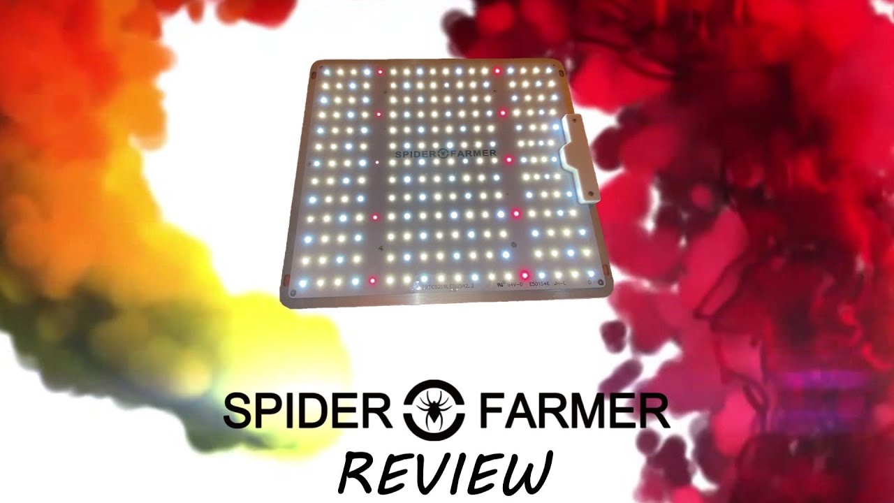 Spider-Farmer SF 1000 Review NEW 2020 Version 