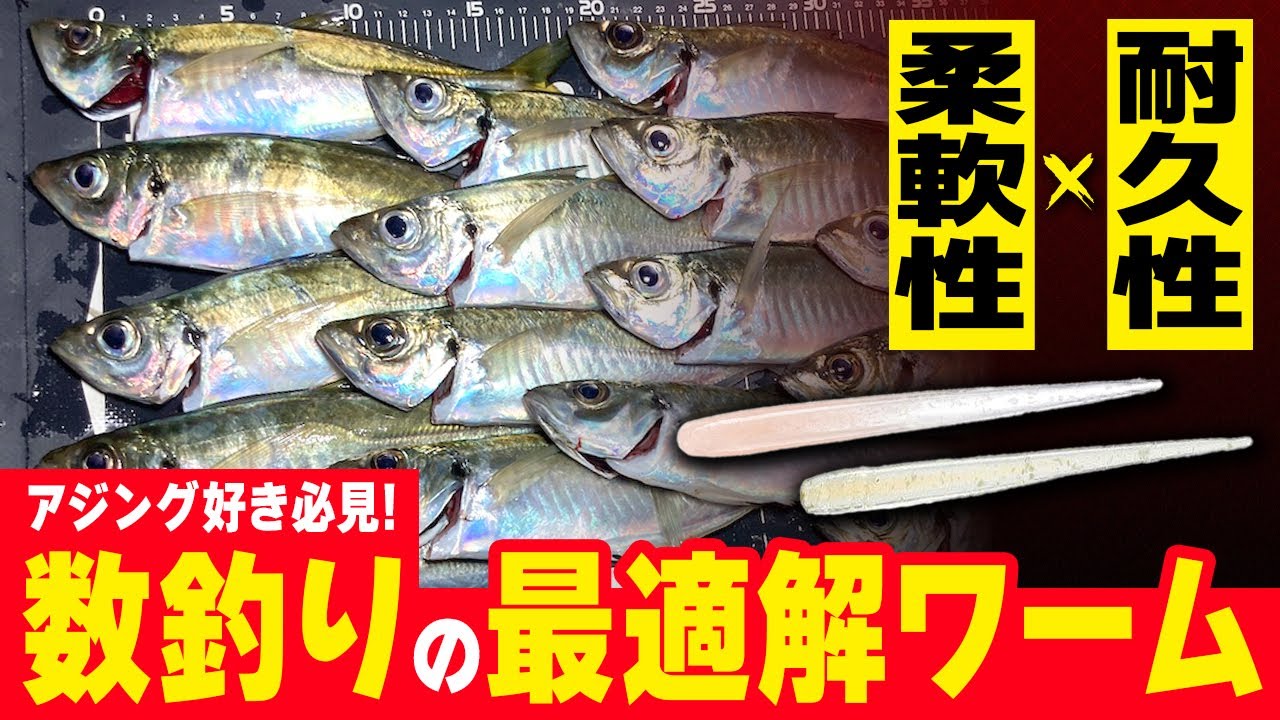 【アジング】数釣りにはコレ!月下美人｢シラスビーム｣のココが秀逸【淡路島】