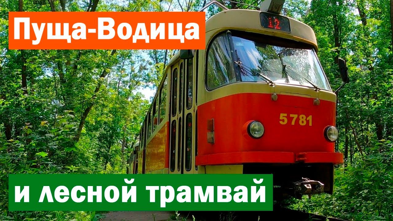 Киев: Пуща-Водица и лесной трамвай