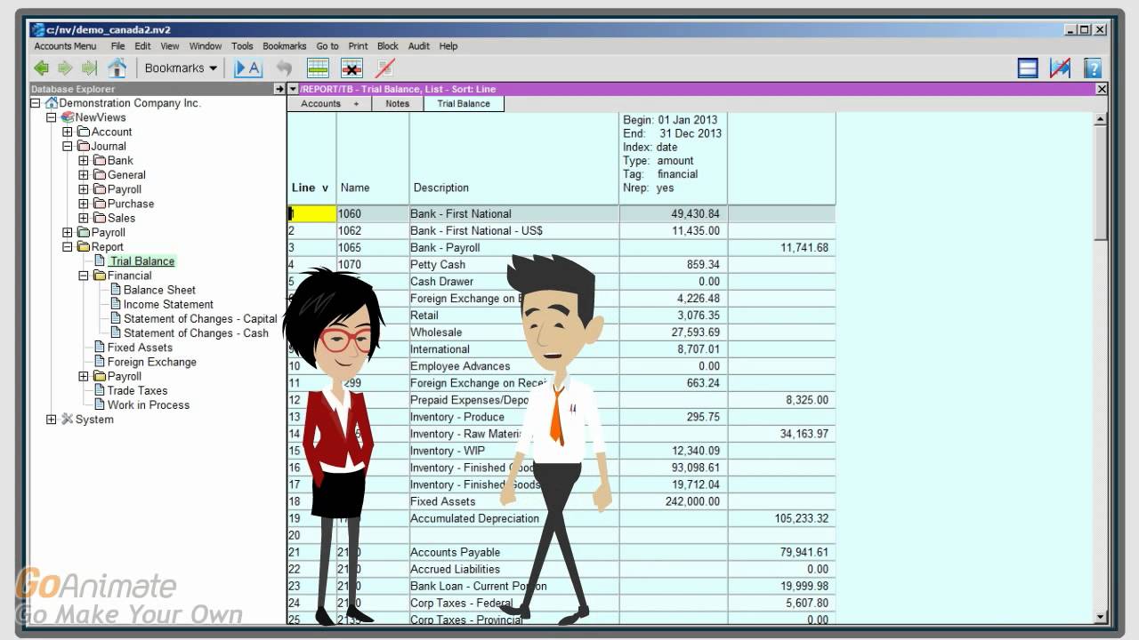 NewViews Accounting Software: Document Views