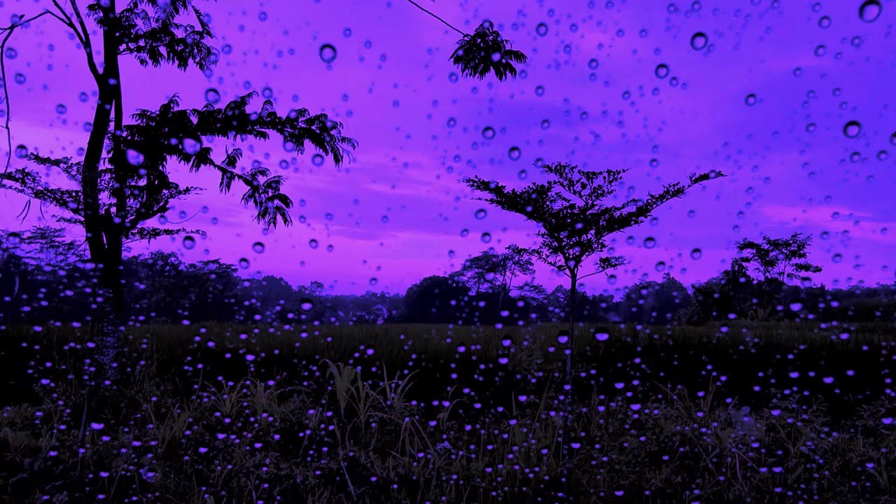 Drifting to Sleep with Rain Sound On WindowㅣHeavy Rain for Sleep, Study and Relaxation, Meditation