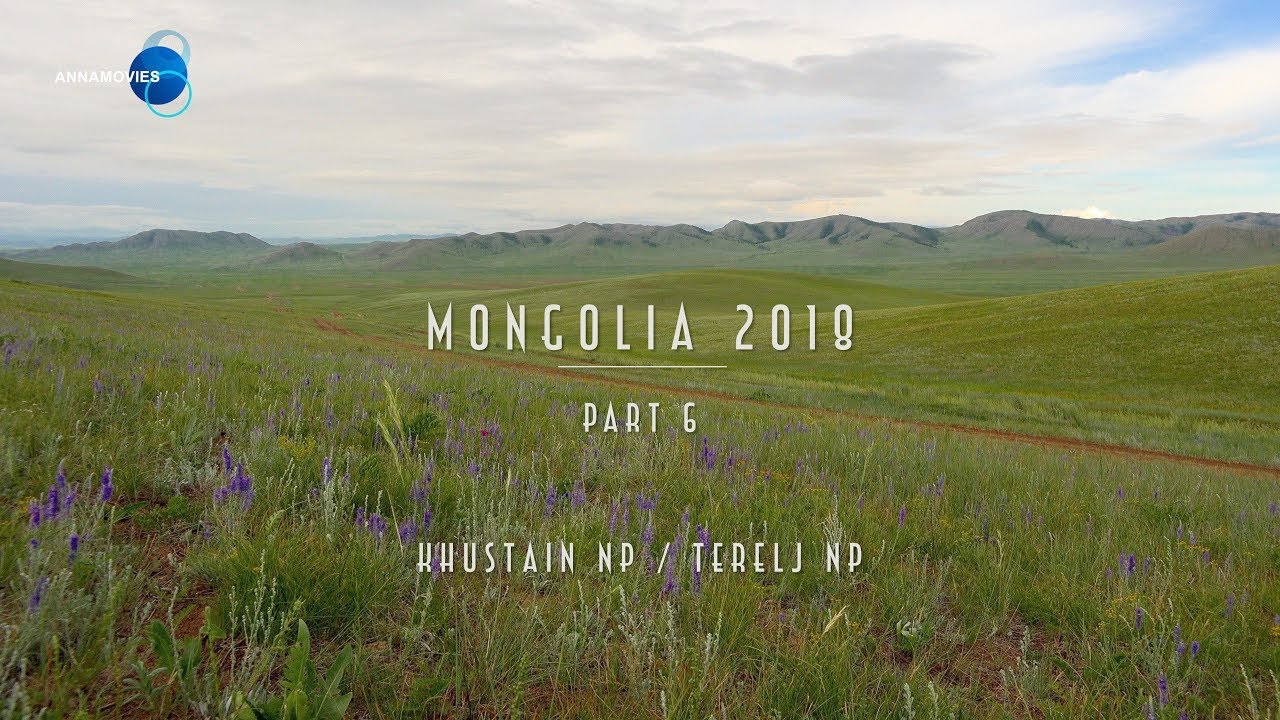 Mongolia 2018 /  Part6 / Khustain and Gorkhi Terelj NP