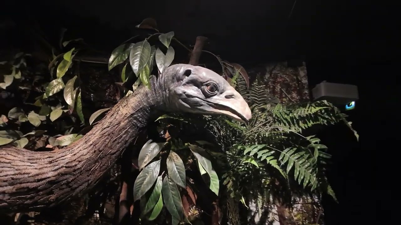 Maruia Springs & ChCh Gondola 