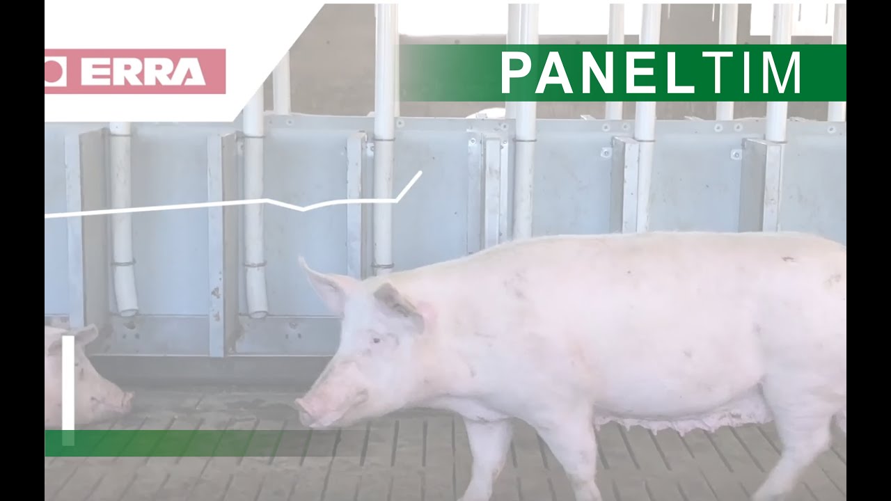 Proyectos en paneles de plástico de Paneltim en Espana