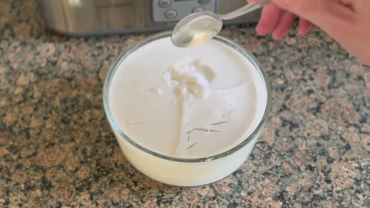 L. Reuteri Coconut Yogurt Using Starter from 1st Batch #UltimateHealth