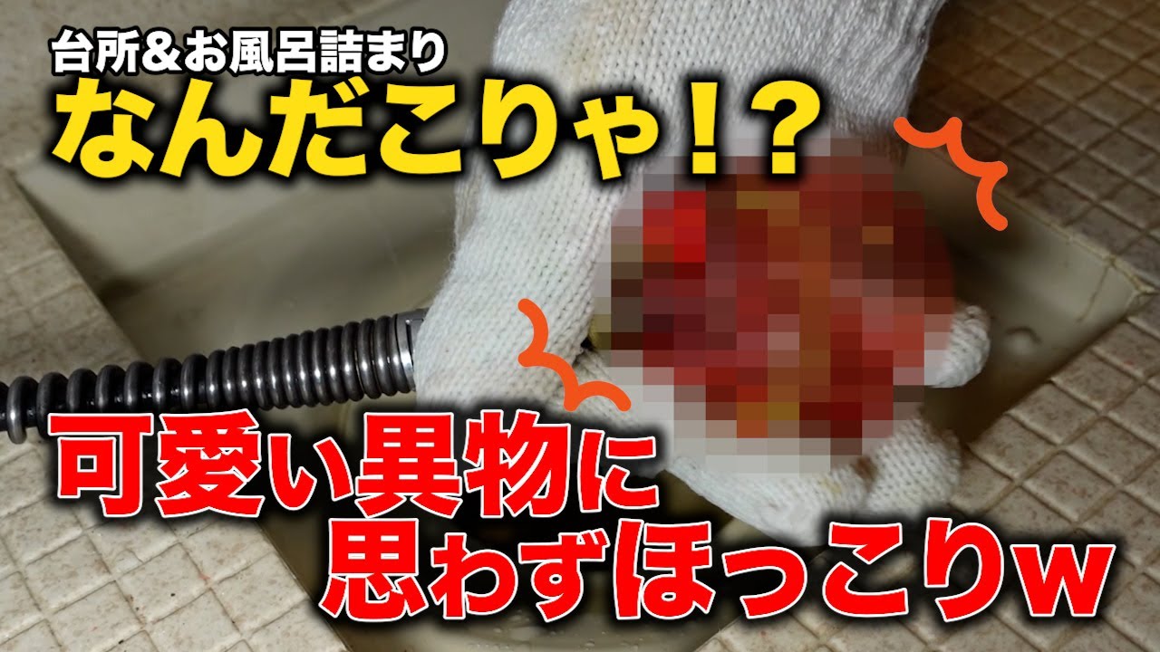 お風呂と台所が同時に詰まった！？ワイヤーも通らない“謎の大詰まり”…配管からまさかの可愛いあの子を大救出！！【花のお掃除 #420】