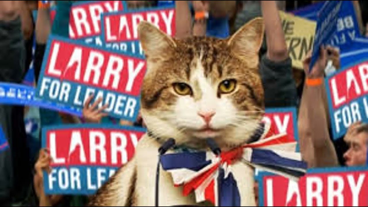 Can You Watch 7 Minutes Of Larry?  10 Downing Street Cat - Prime Minister - PLEASE SUBSCRIBE