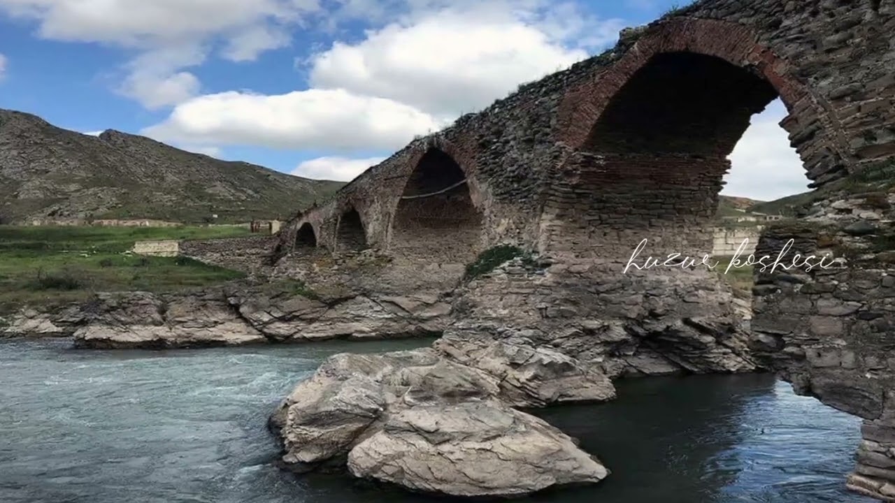 Məmməd Araz 
