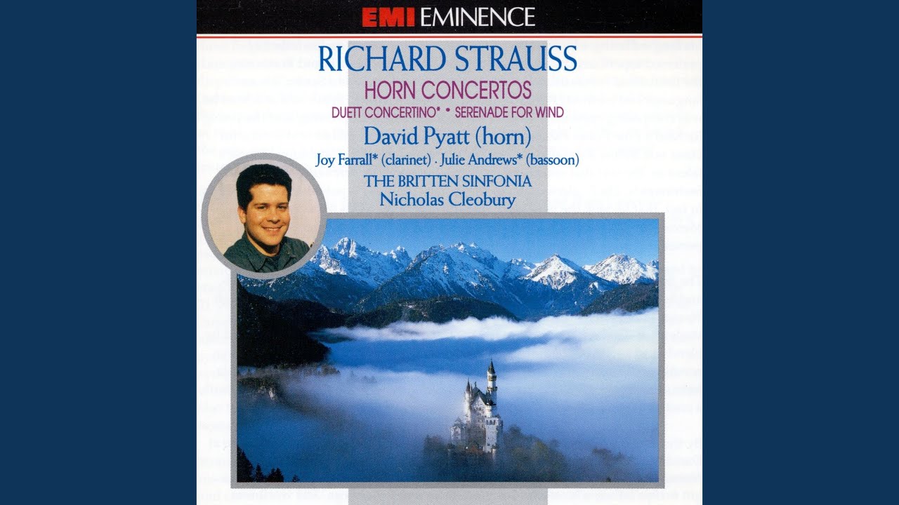 Horn Concerto No. 2 in E-Flat Major: I. Allegro
