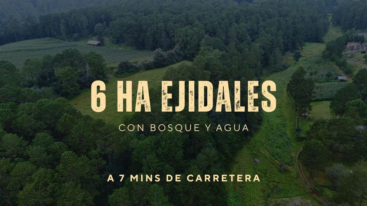 Parcela Ejidal Bosque Frondoso | Terreno Plano y Accesible