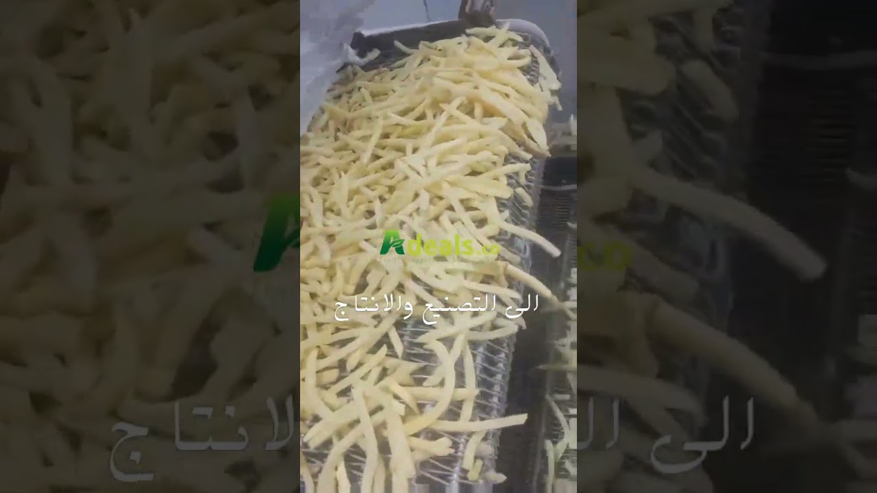 Adeals French Fries Made in Egypt For export to the world 201050556024