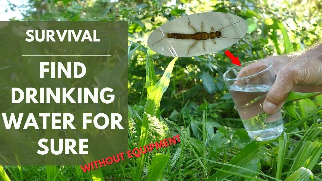 Find Drinking Water in the Wild Without Any Gear